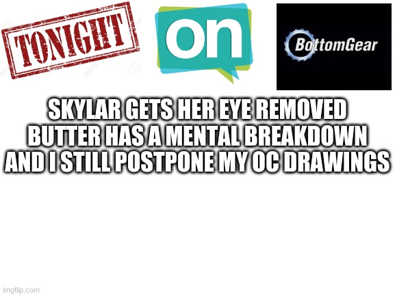 Thought I'd be in the trend | SKYLAR GETS HER EYE REMOVED
BUTTER HAS A MENTAL BREAKDOWN
AND I STILL POSTPONE MY OC DRAWINGS | image tagged in blank white template | made w/ Imgflip meme maker