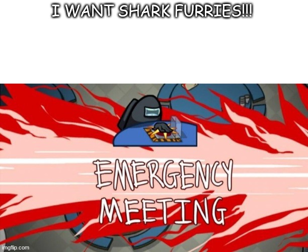 emergency meeting among us(black crew mate) | I WANT SHARK FURRIES!!! | image tagged in emergency meeting among us black crew mate | made w/ Imgflip meme maker