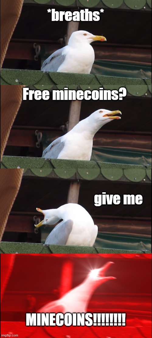 UwU | *breaths*; Free minecoins? give me; MINECOINS!!!!!!!! | image tagged in memes,inhaling seagull | made w/ Imgflip meme maker