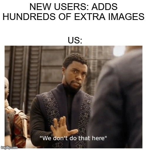 The New Users Must Be Stopped | NEW USERS: ADDS HUNDREDS OF EXTRA IMAGES; US: | image tagged in we don't do that here | made w/ Imgflip meme maker