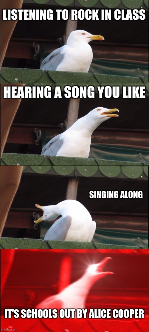 4g9p0d.jpg