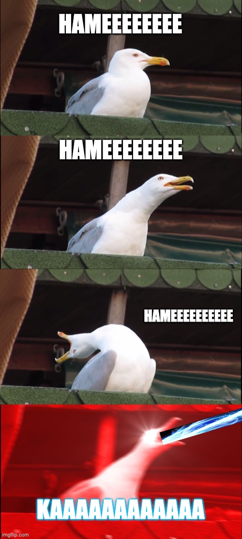 hama hame KAAAAAAA | HAMEEEEEEEE; HAMEEEEEEEE; HAMEEEEEEEEEE; KAAAAAAAAAAAA | image tagged in memes,inhaling seagull | made w/ Imgflip meme maker