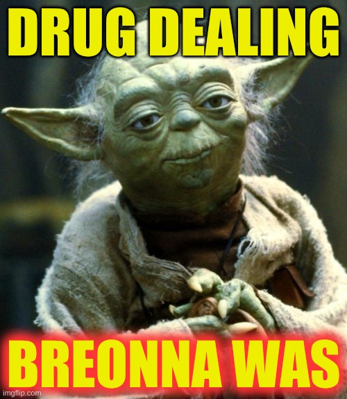 breonna liked her drug cash | DRUG DEALING; BREONNA WAS | image tagged in memes,star wars yoda | made w/ Imgflip meme maker