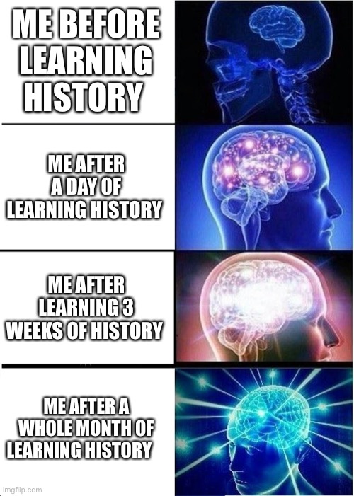 Expanding Brain | ME BEFORE LEARNING HISTORY; ME AFTER A DAY OF LEARNING HISTORY; ME AFTER LEARNING 3 WEEKS OF HISTORY; ME AFTER A WHOLE MONTH OF LEARNING HISTORY | image tagged in memes,expanding brain | made w/ Imgflip meme maker