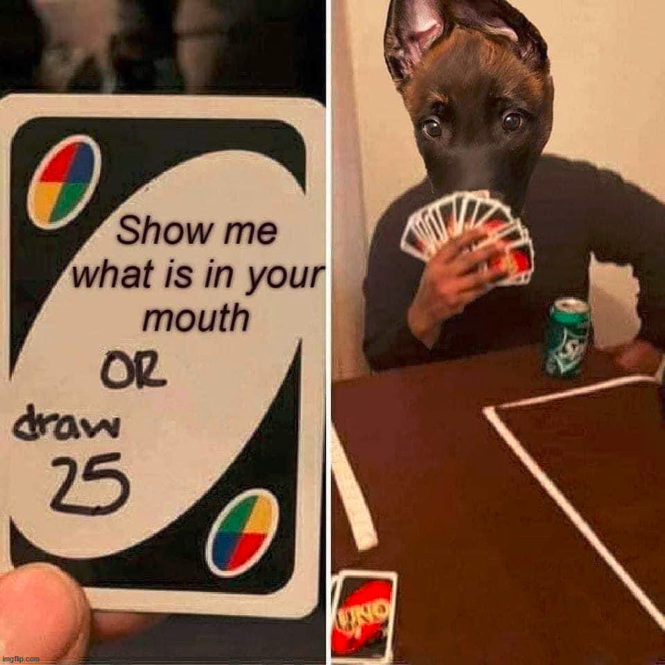 They never show you what they have in their mouth. | image tagged in repost,uno draw 25 cards | made w/ Imgflip meme maker