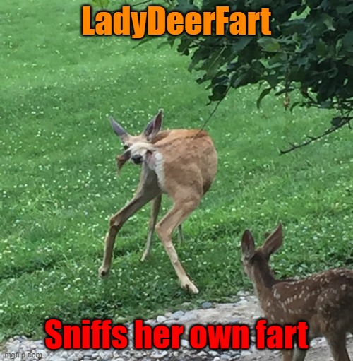 LadyDeerFart Sniffs her own fart | made w/ Imgflip meme maker