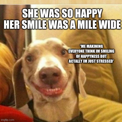 big smile doggie | SHE WAS SO HAPPY HER SMILE WAS A MILE WIDE; *ME MAKINING EVERYONE THINK IM SMILING OF HAPPYNESS BUT ACTALLY IM JUST STRESSED* | image tagged in big smile doggie | made w/ Imgflip meme maker