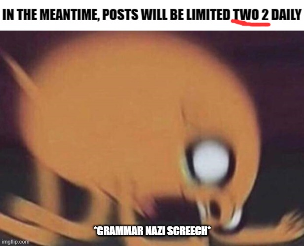 *GRAMMAR NAZI SCREECH* | image tagged in jake screech | made w/ Imgflip meme maker