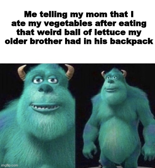 yyeeeaahh i-i didd m-m-myyy veegiestables | Me telling my mom that I ate my vegetables after eating that weird ball of lettuce my older brother had in his backpack | image tagged in blank white template,sully,weed,vegetables,monsters inc | made w/ Imgflip meme maker