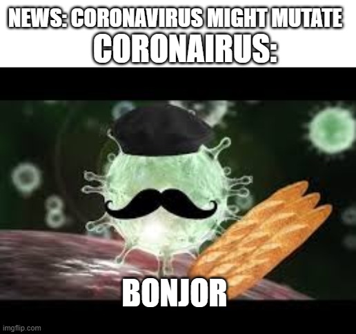 Yeah it might mutate | NEWS: CORONAVIRUS MIGHT MUTATE; CORONAIRUS:; BONJOR | image tagged in coronavirus,e | made w/ Imgflip meme maker