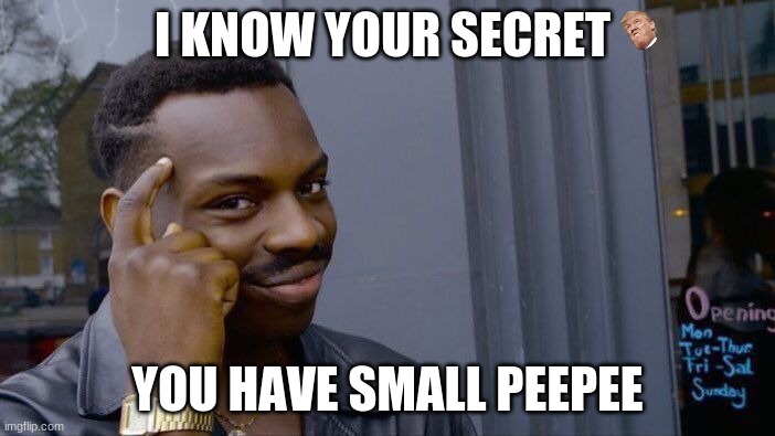 Roll Safe Think About It | I KNOW YOUR SECRET; YOU HAVE SMALL PEEPEE | image tagged in memes,roll safe think about it | made w/ Imgflip meme maker