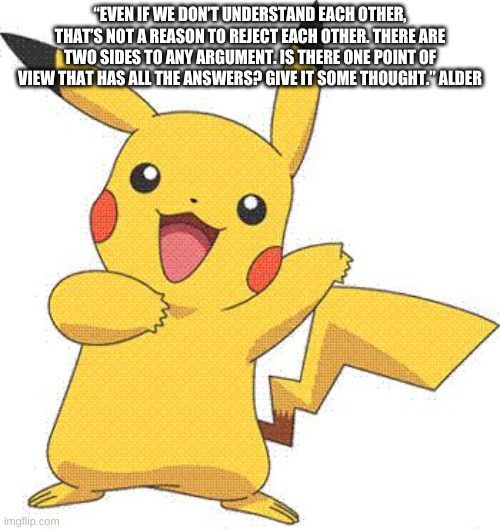 Pokemon | “EVEN IF WE DON’T UNDERSTAND EACH OTHER, THAT’S NOT A REASON TO REJECT EACH OTHER. THERE ARE TWO SIDES TO ANY ARGUMENT. IS THERE ONE POINT OF VIEW THAT HAS ALL THE ANSWERS? GIVE IT SOME THOUGHT.” ALDER | image tagged in pokemon | made w/ Imgflip meme maker