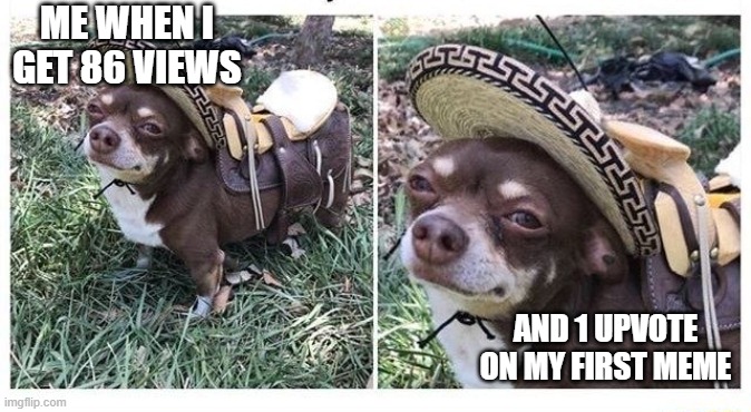 happy dog with saddle | ME WHEN I GET 86 VIEWS; AND 1 UPVOTE ON MY FIRST MEME | image tagged in happy dog with saddle | made w/ Imgflip meme maker