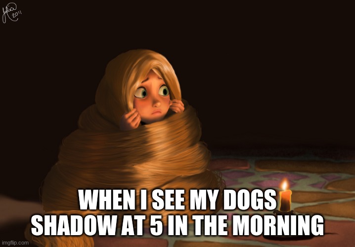 Scared Rapunzel |  WHEN I SEE MY DOGS SHADOW AT 5 IN THE MORNING | image tagged in scared rapunzel | made w/ Imgflip meme maker