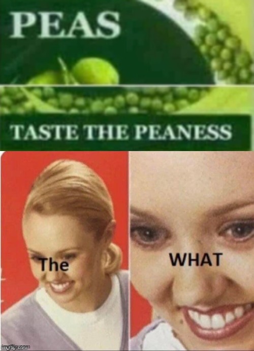 Taste it. | image tagged in the what lady,funny,funny memes,memes,food,oh wow are you actually reading these tags | made w/ Imgflip meme maker