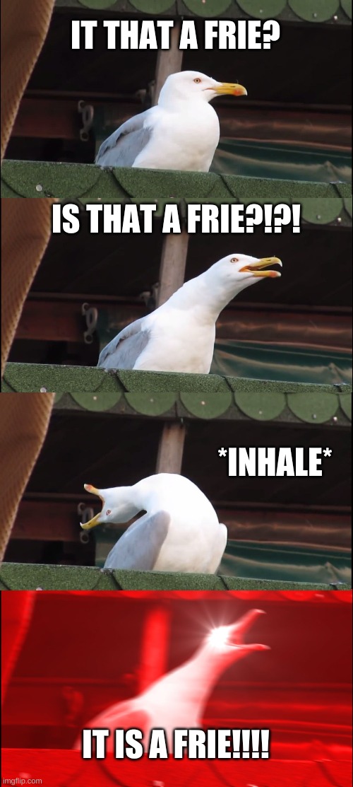 Inhaling Seagull | IT THAT A FRIE? IS THAT A FRIE?!?! *INHALE*; IT IS A FRIE!!!! | image tagged in memes,inhaling seagull | made w/ Imgflip meme maker