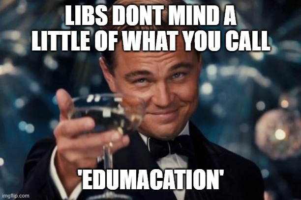 Leonardo Dicaprio Cheers Meme | LIBS DONT MIND A LITTLE OF WHAT YOU CALL 'EDUMACATION' | image tagged in memes,leonardo dicaprio cheers | made w/ Imgflip meme maker