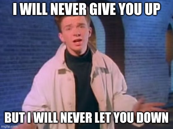 rick astley never gonna let you down | I WILL NEVER GIVE YOU UP BUT I WILL NEVER LET YOU DOWN | image tagged in rick astley never gonna let you down | made w/ Imgflip meme maker