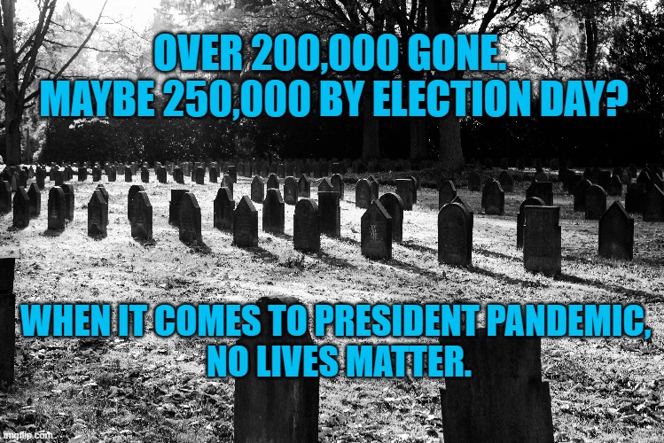 The Results Scream For Themselves! | OVER 200,000 GONE.  MAYBE 250,000 BY ELECTION DAY? WHEN IT COMES TO PRESIDENT PANDEMIC, 
NO LIVES MATTER. | image tagged in politics | made w/ Imgflip meme maker
