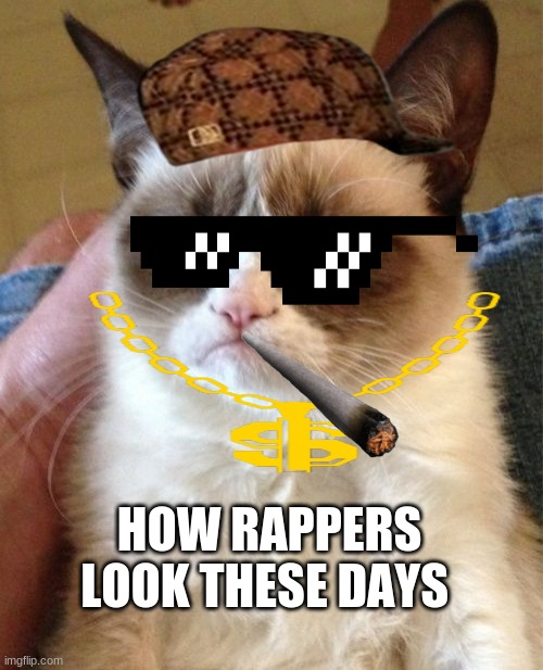 Grumpy Cat | HOW RAPPERS LOOK THESE DAYS | image tagged in memes,grumpy cat | made w/ Imgflip meme maker