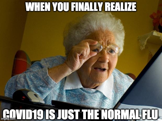 Old lady at computer finds the Internet | WHEN YOU FINALLY REALIZE; COVID19 IS JUST THE NORMAL FLU | image tagged in old lady at computer finds the internet | made w/ Imgflip meme maker