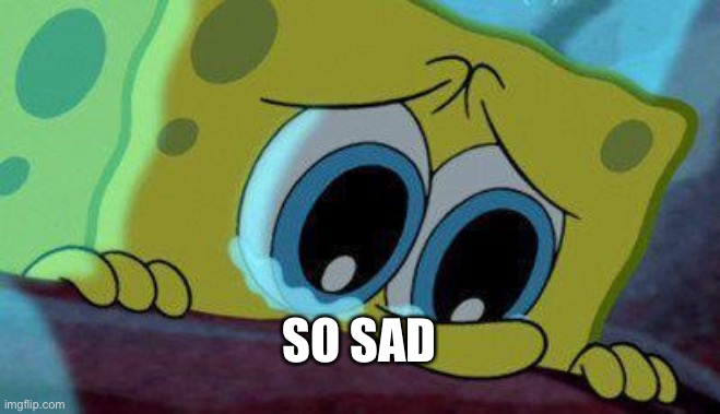 crying spongebob | SO SAD | image tagged in crying spongebob | made w/ Imgflip meme maker