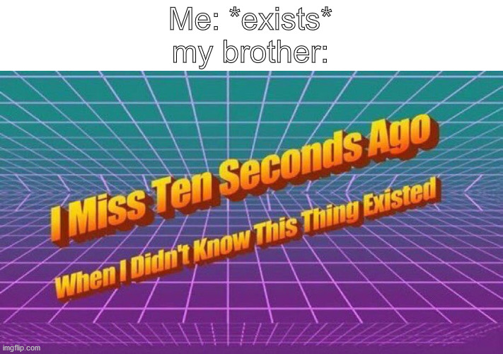I miss ten seconds ago | Me: *exists*
my brother: | image tagged in i miss ten seconds ago | made w/ Imgflip meme maker