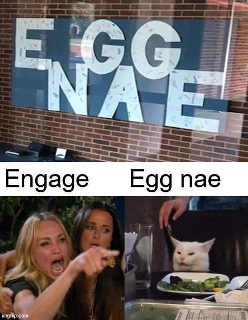 Engage; Egg nae | image tagged in memes,woman yelling at cat | made w/ Imgflip meme maker