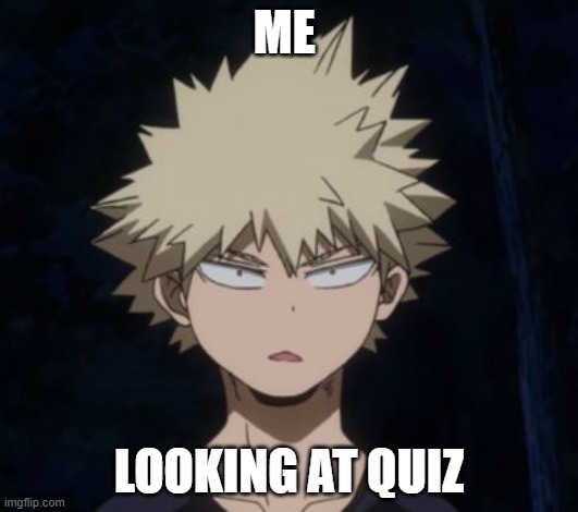 perfect |  ME; LOOKING AT QUIZ | image tagged in bakugo's huh | made w/ Imgflip meme maker