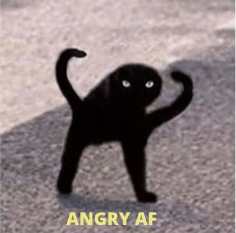 High Quality Angry af cat Blank Meme Template