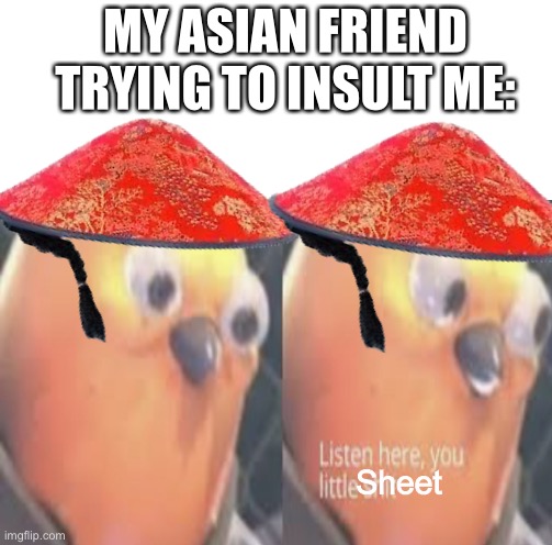 Hell, I’m not a rascist | MY ASIAN FRIEND TRYING TO INSULT ME:; Sheet | image tagged in asians,listen here you little shit bird,hilarious memes,insults,memes | made w/ Imgflip meme maker
