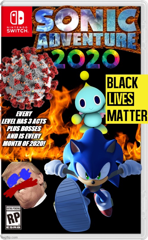 Sonic is gonna have a dangerous adventure.... | EVERY LEVEL HAS 3 ACTS PLUS BOSSES AND IS EVERY MONTH OF 2020! | image tagged in nintendo switch cartridge case,sonic the hedgehog,2020,coronavirus,black lives matter,wildfires | made w/ Imgflip meme maker