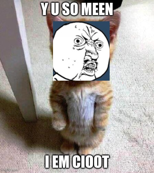 cute standing kitty | Y U SO MEEN; I EM CIOOT | image tagged in cute standing kitty,y u no,memes | made w/ Imgflip meme maker