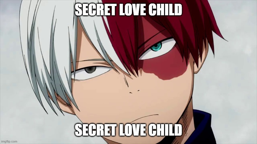 Bruh Todoroki | SECRET LOVE CHILD SECRET LOVE CHILD | image tagged in bruh todoroki | made w/ Imgflip meme maker