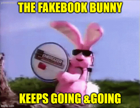 fakebook bunny |  THE FAKEBOOK BUNNY; KEEPS GOING &GOING | image tagged in annoying facebook girl | made w/ Imgflip meme maker