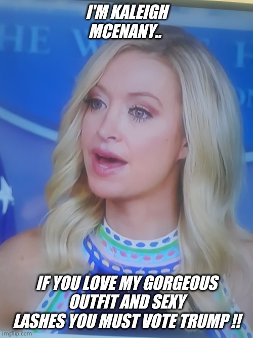 So sorry... I had to post this in the fun stream !! | I'M KALEIGH MCENANY.. IF YOU LOVE MY GORGEOUS OUTFIT AND SEXY LASHES YOU MUST VOTE TRUMP !! | image tagged in jeffrey,loves,kaleigh,vote,trump | made w/ Imgflip meme maker