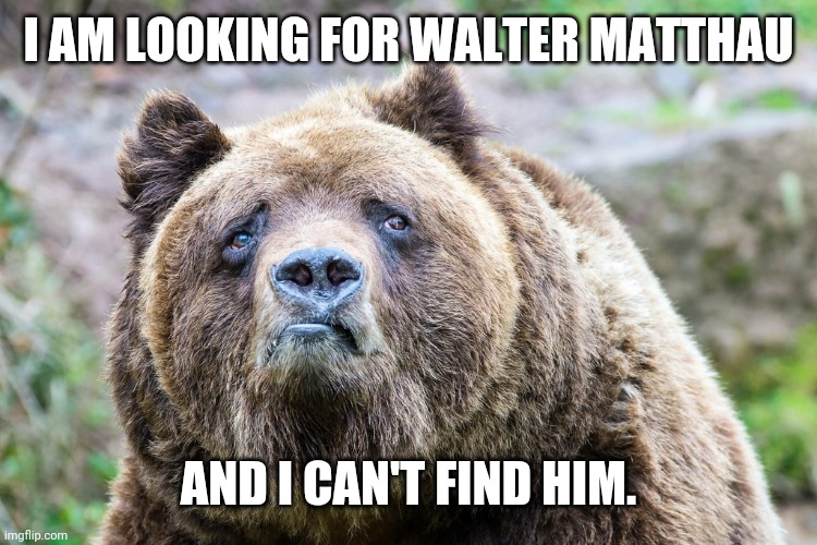  I AM LOOKING FOR WALTER MATTHAU; AND I CAN'T FIND HIM. | image tagged in bad news bear | made w/ Imgflip meme maker