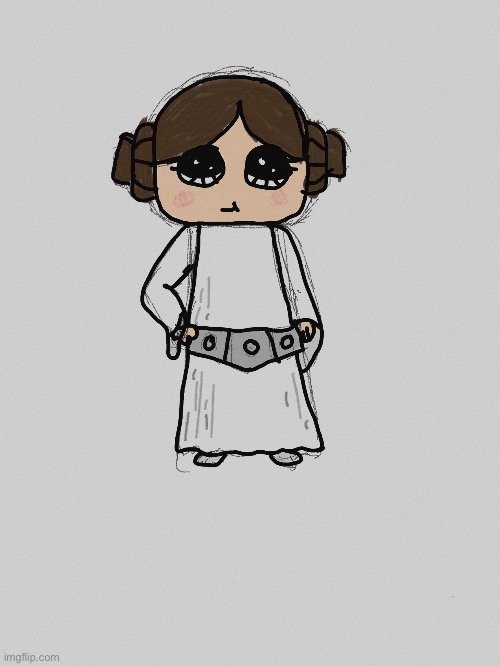 Princess Leia! | made w/ Imgflip meme maker