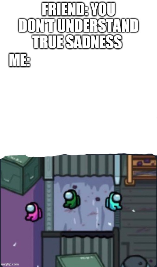 dorime | ME:; FRIEND: YOU DON'T UNDERSTAND TRUE SADNESS | image tagged in blank white template | made w/ Imgflip meme maker