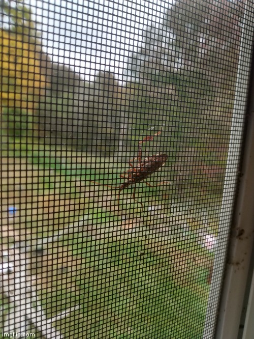 Found this on my window lol | image tagged in memes | made w/ Imgflip meme maker