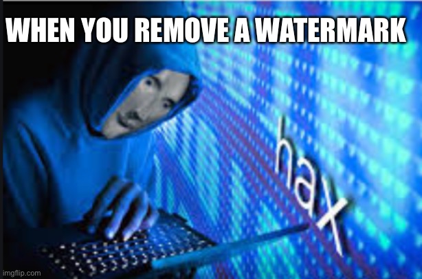 Hax | WHEN YOU REMOVE A WATERMARK | image tagged in hax | made w/ Imgflip meme maker