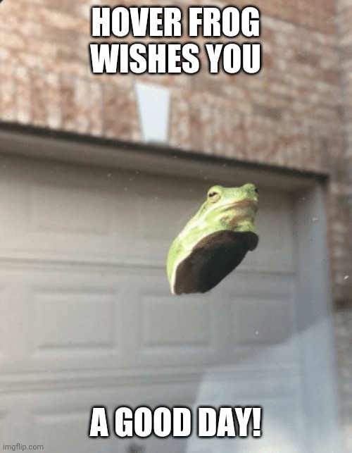 Have a good Friday! |  HOVER FROG WISHES YOU; A GOOD DAY! | image tagged in hover frog | made w/ Imgflip meme maker