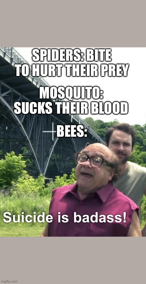 SPIDERS: BITE TO HURT THEIR PREY; MOSQUITO: SUCKS THEIR BLOOD; BEES: | image tagged in bugs,suicide,bees,spiders,mosquitoes | made w/ Imgflip meme maker
