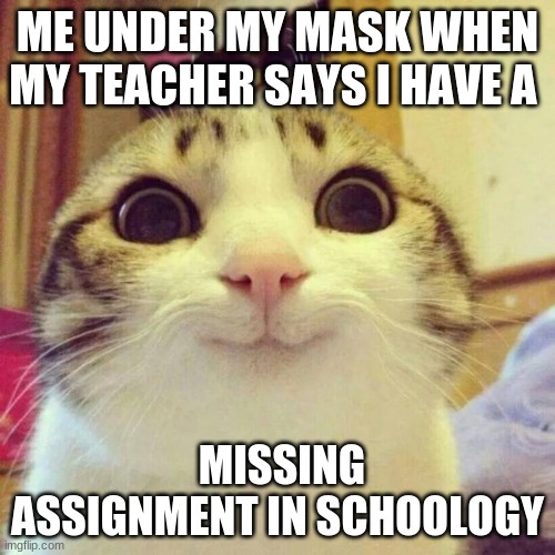 Smiling Cat Meme | ME UNDER MY MASK WHEN MY TEACHER SAYS I HAVE A; MISSING ASSIGNMENT IN SCHOOLOGY | image tagged in memes,smiling cat | made w/ Imgflip meme maker