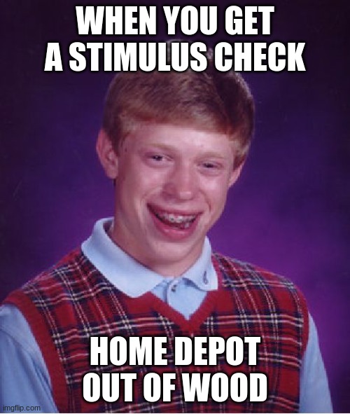 Wood | WHEN YOU GET A STIMULUS CHECK; HOME DEPOT OUT OF WOOD | image tagged in memes,bad luck brian | made w/ Imgflip meme maker