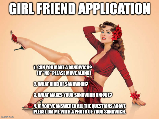 Girlfriend Application | GIRL FRIEND APPLICATION; 1. CAN YOU MAKE A SANDWICH?                                        
(IF "NO" PLEASE MOVE ALONG)                                     
                                                    
2. WHAT KIND OF SANDWICH?                                            
                                              
3. WHAT MAKES YOUR SANDWICH UNIQUE?                
                                                              
4. IF YOU'VE ANSWERED ALL THE QUESTIONS ABOVE
PLEASE DM ME WITH A PHOTO OF YOUR SANDWICH. | image tagged in girlfriend,make me a sandwich | made w/ Imgflip meme maker