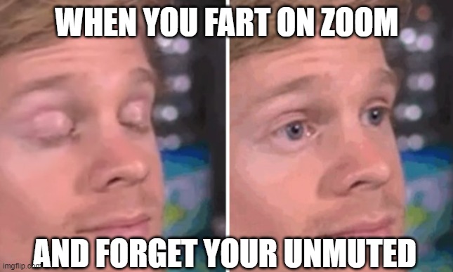 White guy blinking | WHEN YOU FART ON ZOOM; AND FORGET YOUR UNMUTED | image tagged in white guy blinking | made w/ Imgflip meme maker