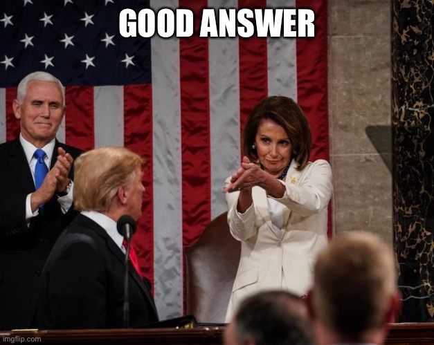 Nancy Pelosi Clap | GOOD ANSWER | image tagged in nancy pelosi clap | made w/ Imgflip meme maker