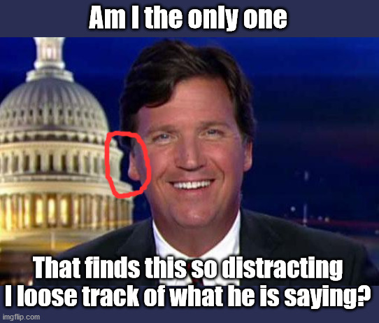 Looks like it will fit right in, but still waiting for the perfect alignment. | Am I the only one; That finds this so distracting I loose track of what he is saying? | image tagged in tucker carlson | made w/ Imgflip meme maker