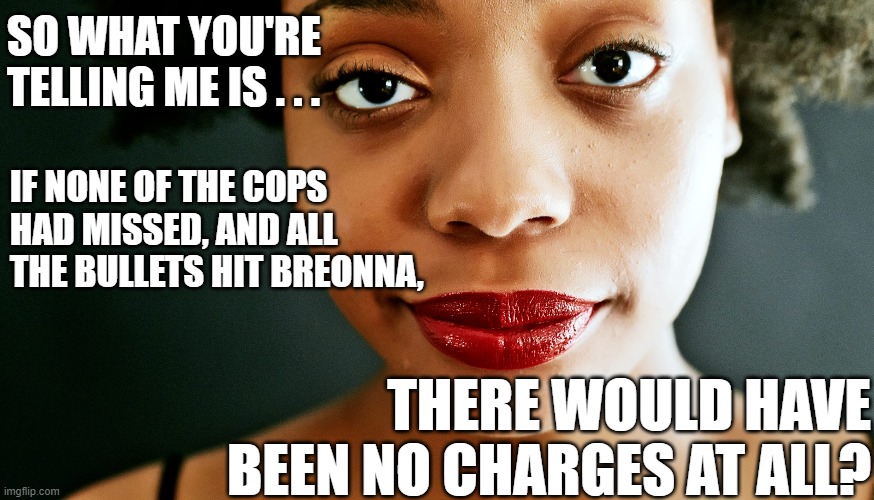 Don't shoot the wall | SO WHAT YOU'RE TELLING ME IS . . . IF NONE OF THE COPS HAD MISSED, AND ALL THE BULLETS HIT BREONNA, THERE WOULD HAVE BEEN NO CHARGES AT ALL? | image tagged in justiceforbreonna,breonna taylor,blm | made w/ Imgflip meme maker
